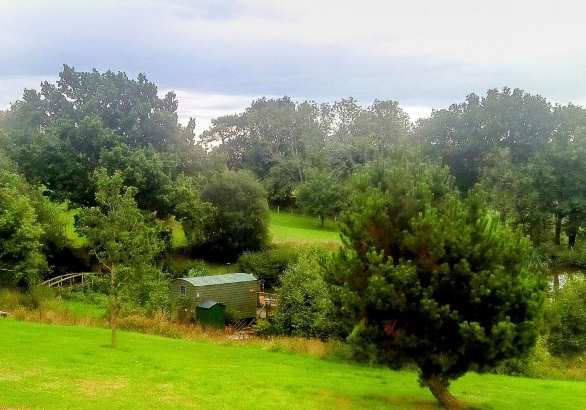 Snug & Secluded Lakeside Shepherds Hut 'Carp' Ъкфийлд Екстериор снимка